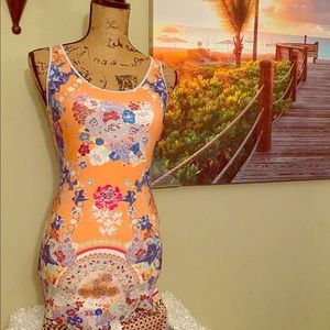Clover Canyon Dress